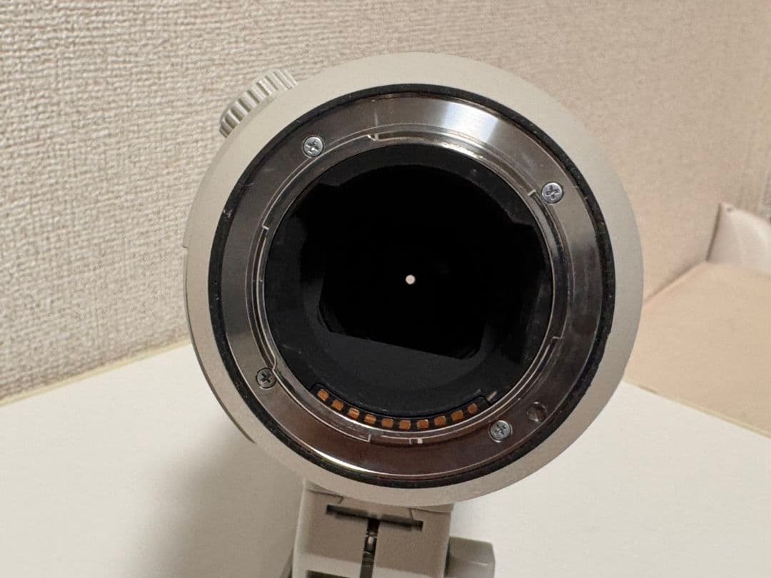 レンズ(ズーム) SONY FE200-600mm F5.6-6.3 G OSS