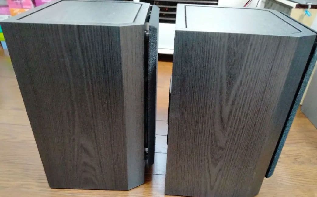 【Pro Cableさんおすすめ】BIC DV62si（中古）