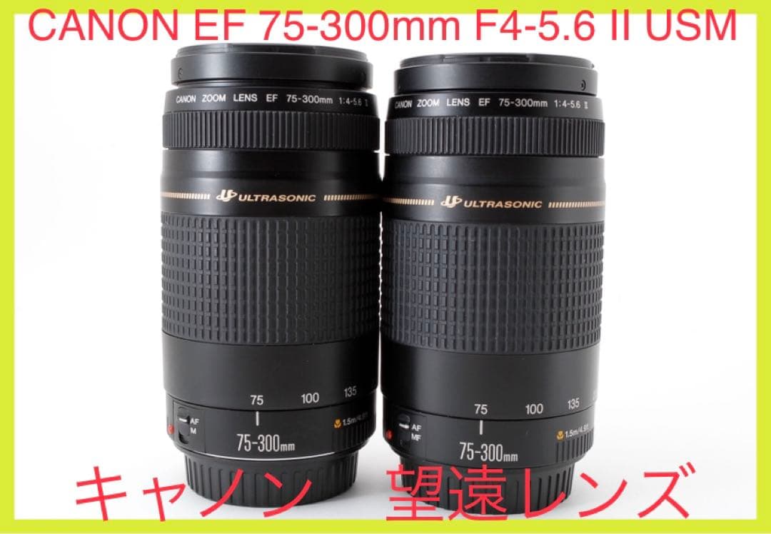 2セット/望遠レンズ CANON EF 75-300㎜F4-5.6 II USM