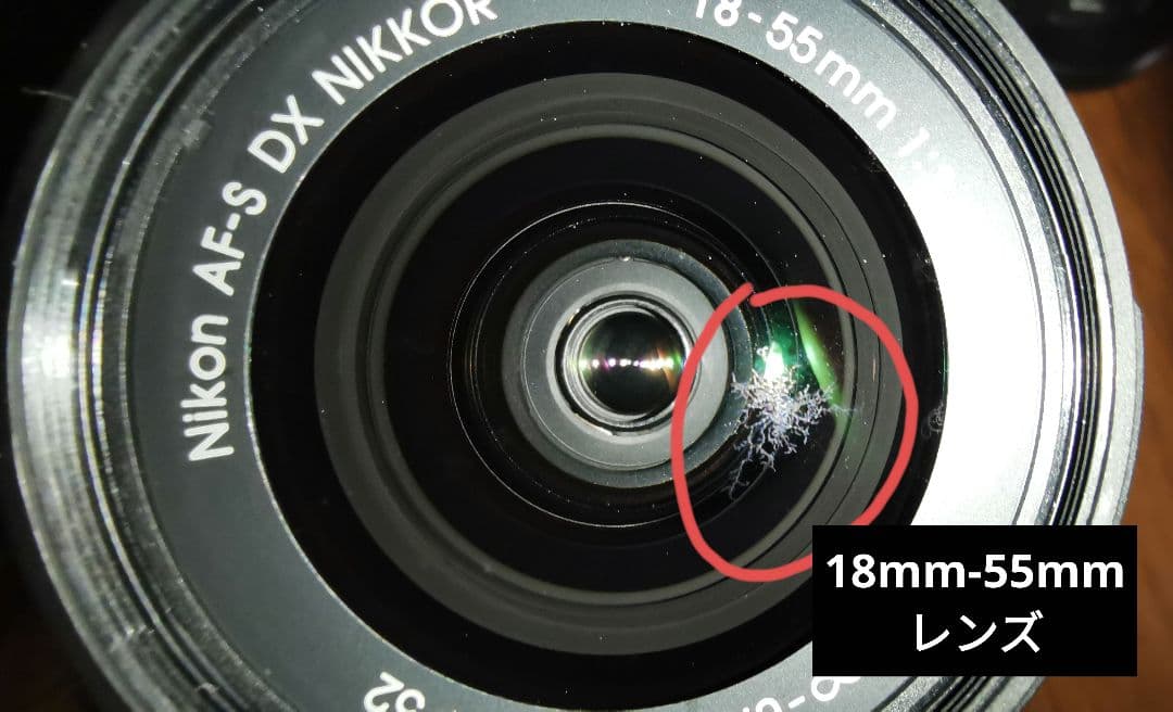 Nikon D5500 ダブルズームキット シャッター回数:1457