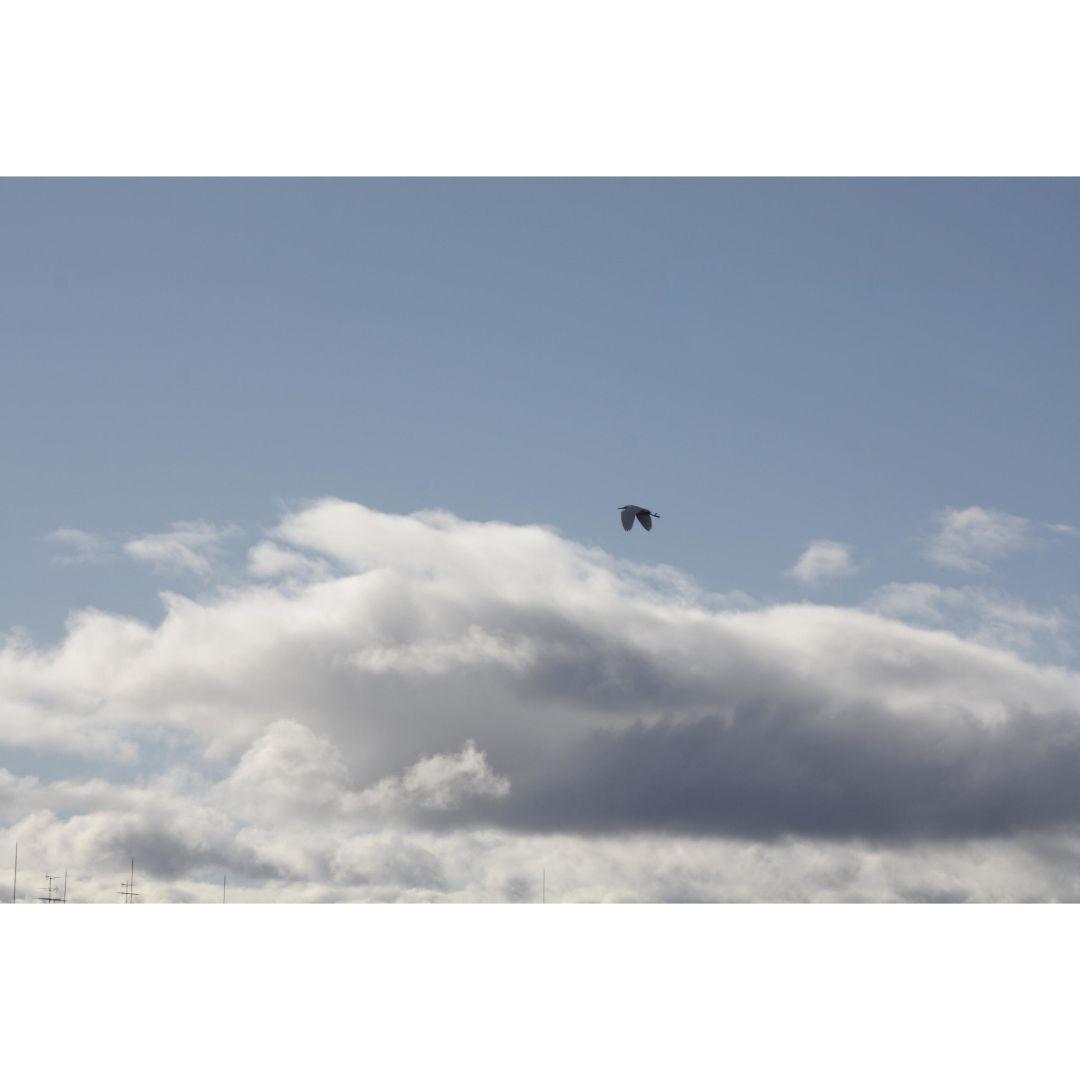 ❤即購入1000円OFF❤ Canon Kiss X2 超望遠 ダブルレンズ