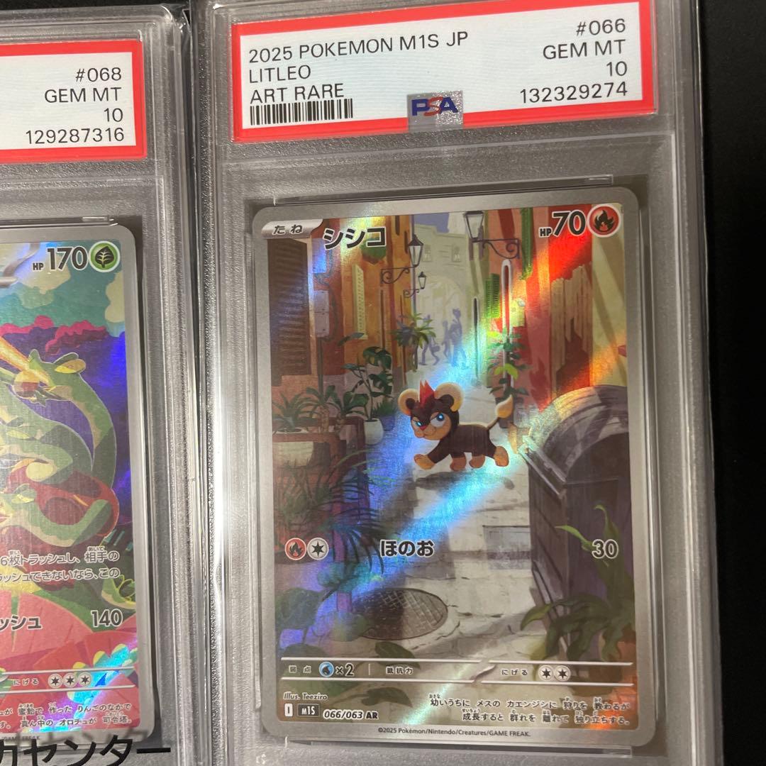 ポケモンカード　【PSA10】　シシコ　カミツオロチ