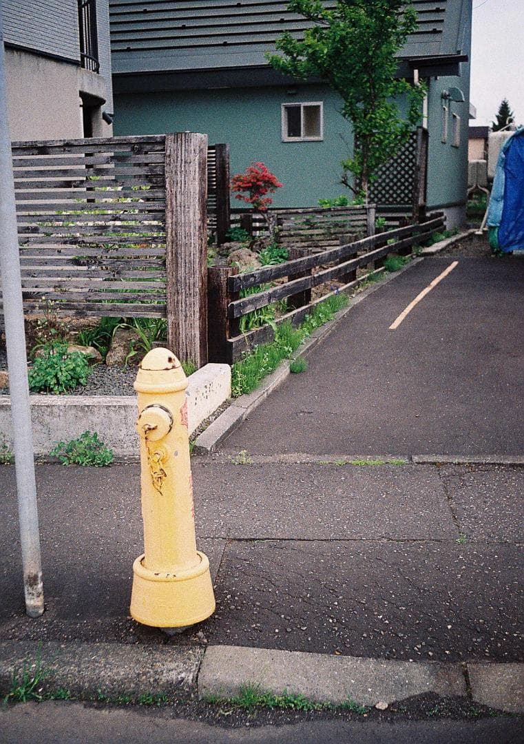 ラグランスリーブ【整備品】オリンパス　ペンEE-2　フィルム試写あり