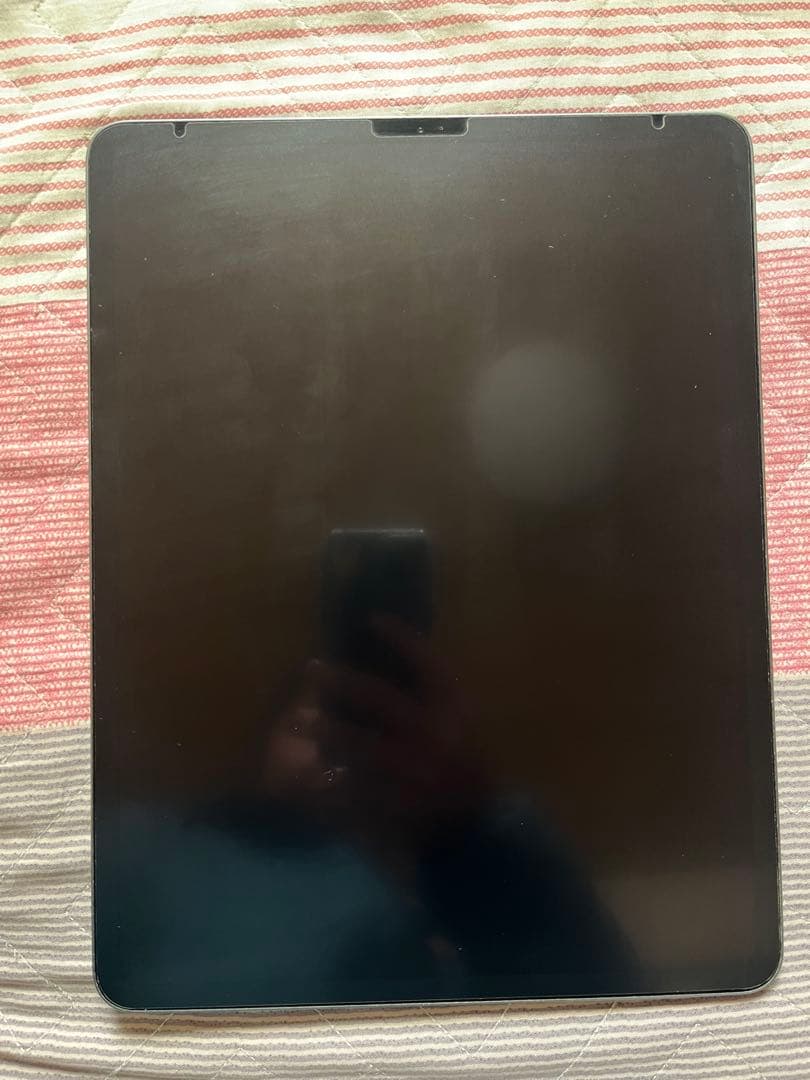 iPad Pro 12.9インチ 第4世代（2020）【動作良好・即発送】