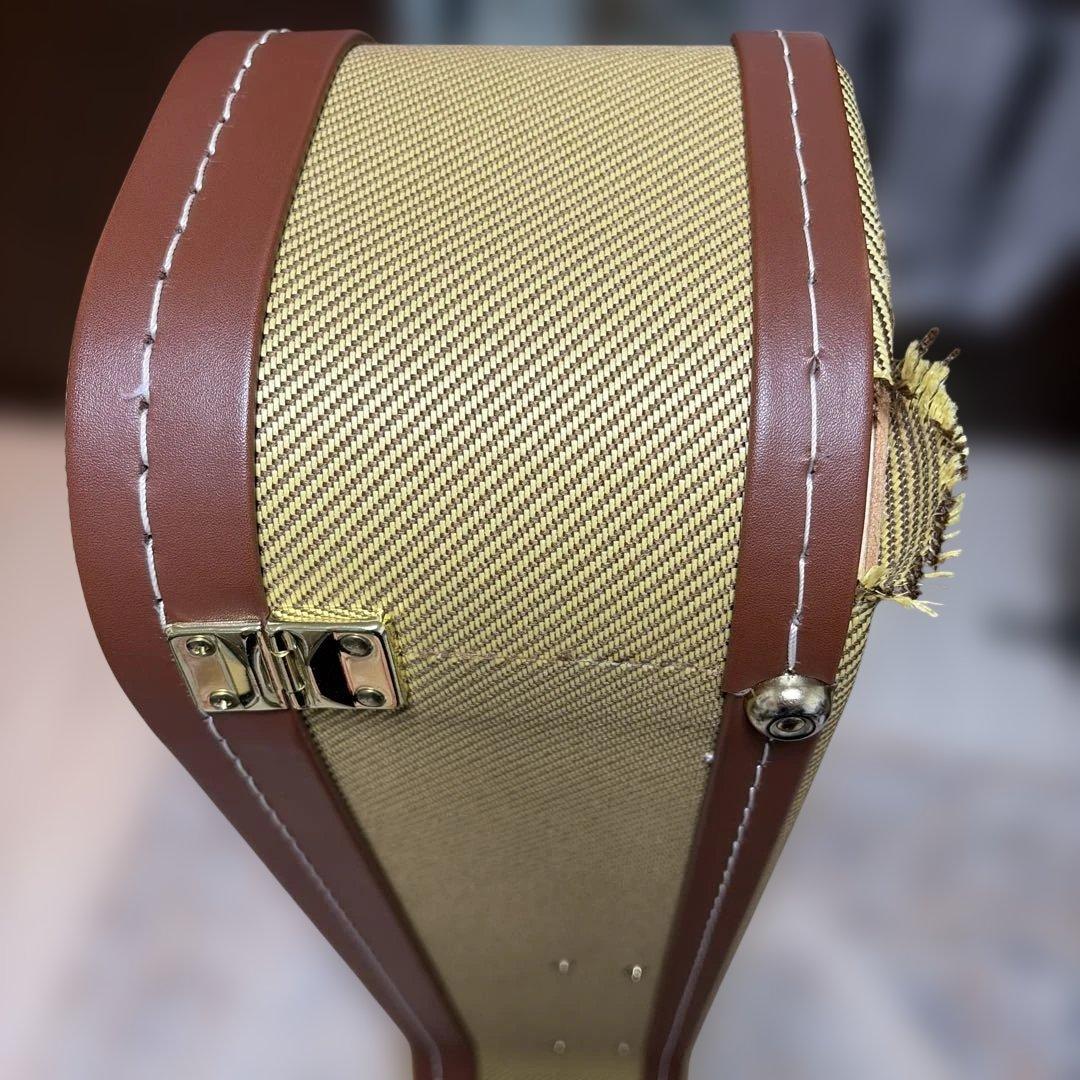 Gretsch G5420T 専用ハードケース付き 2025の4月新品購入