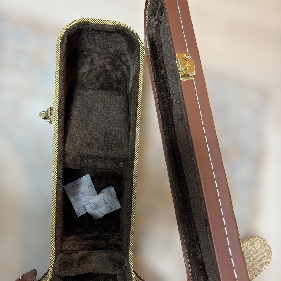 Gretsch G5420T 専用ハードケース付き 2025の4月新品購入