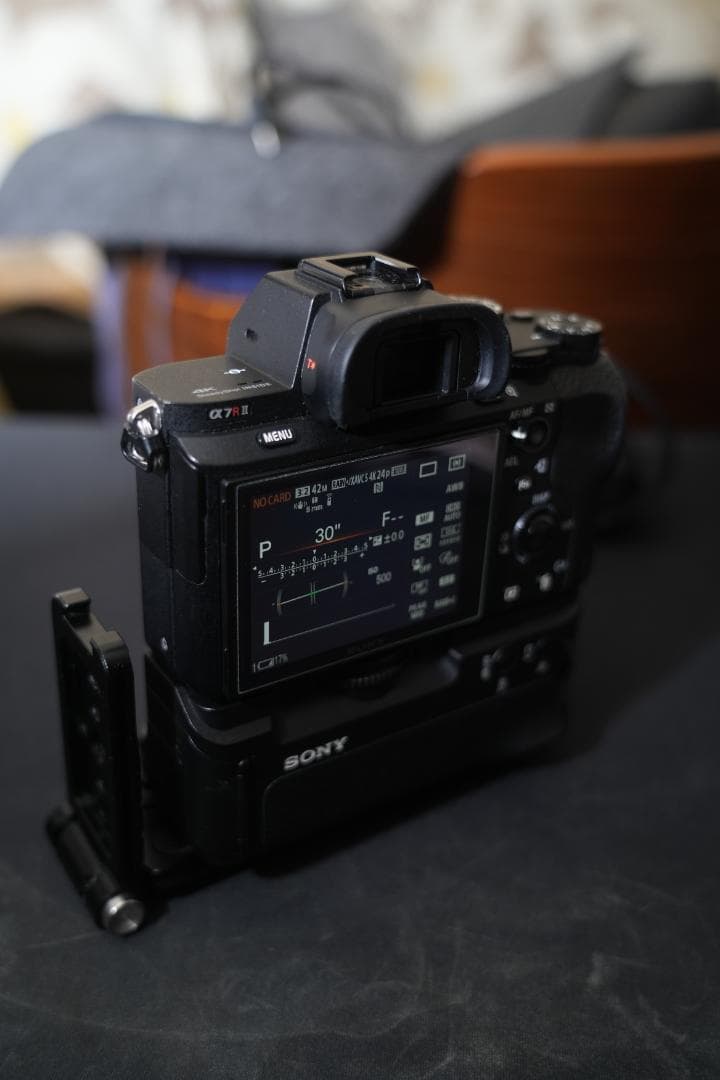 α7Rii ＋SamyangAF24f2.8mm 縦グリップ