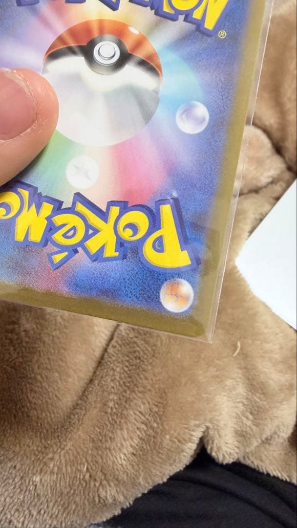 トウホクのピカチュウ P [SV-P 260