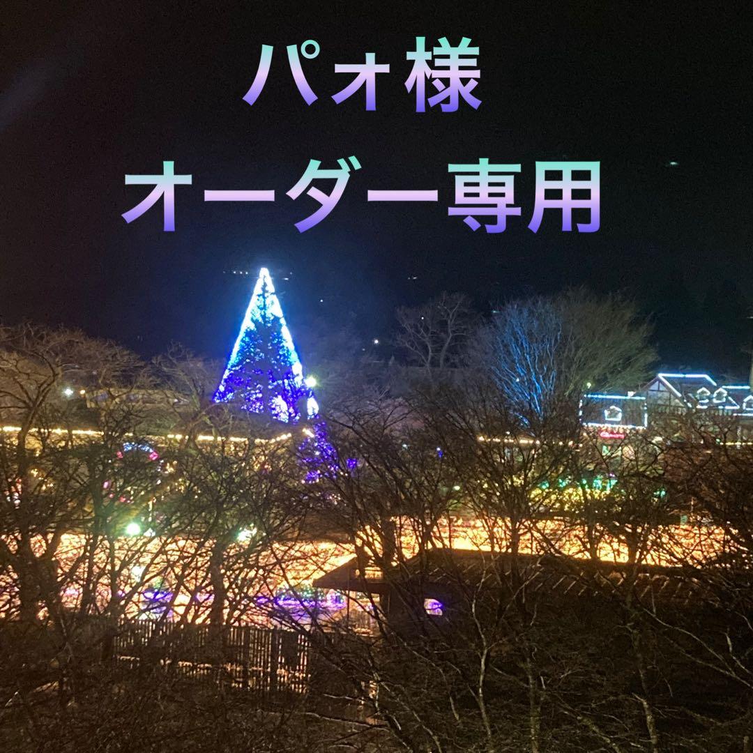 パォ様オーダー専用ページ