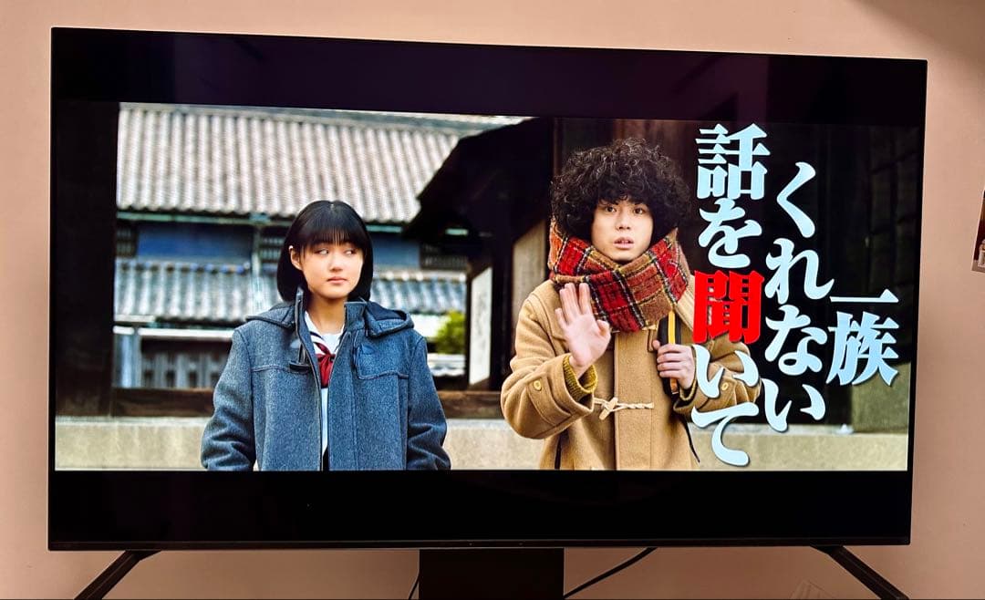 Sony BRAVIA 55A80J｜22年製｜極美品｜焼き付きなし