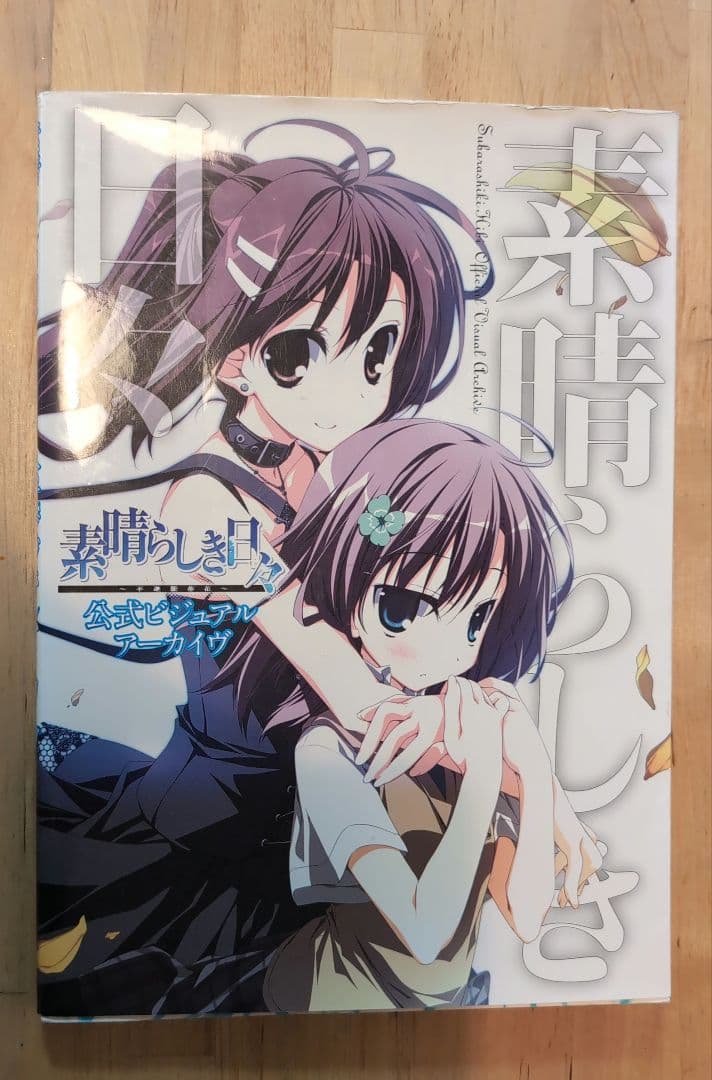 釘*典様 素晴らしき日々～不連続存在～公式ビジュアルアーカイヴ