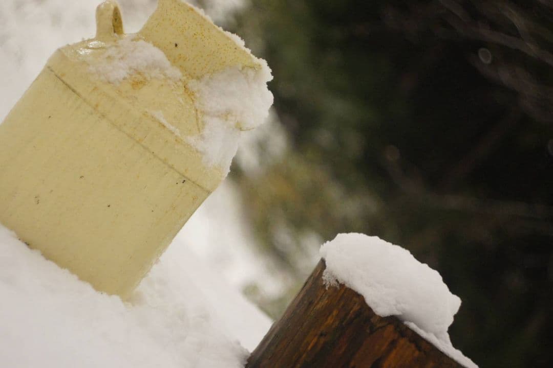 HELIOS 44-2 58mm f2 ゼブラ　初期型