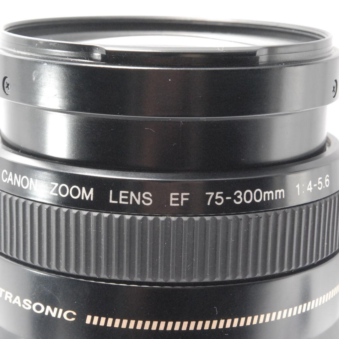 キャノン Canon EF 75-300mm 望遠レンズ 遠くの春も、すぐそばに