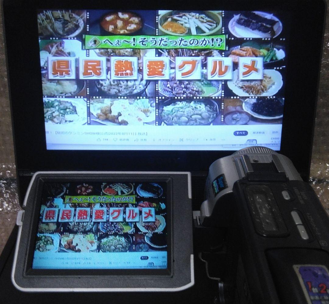 ビデオカメラ SONY DCR-TRV 17