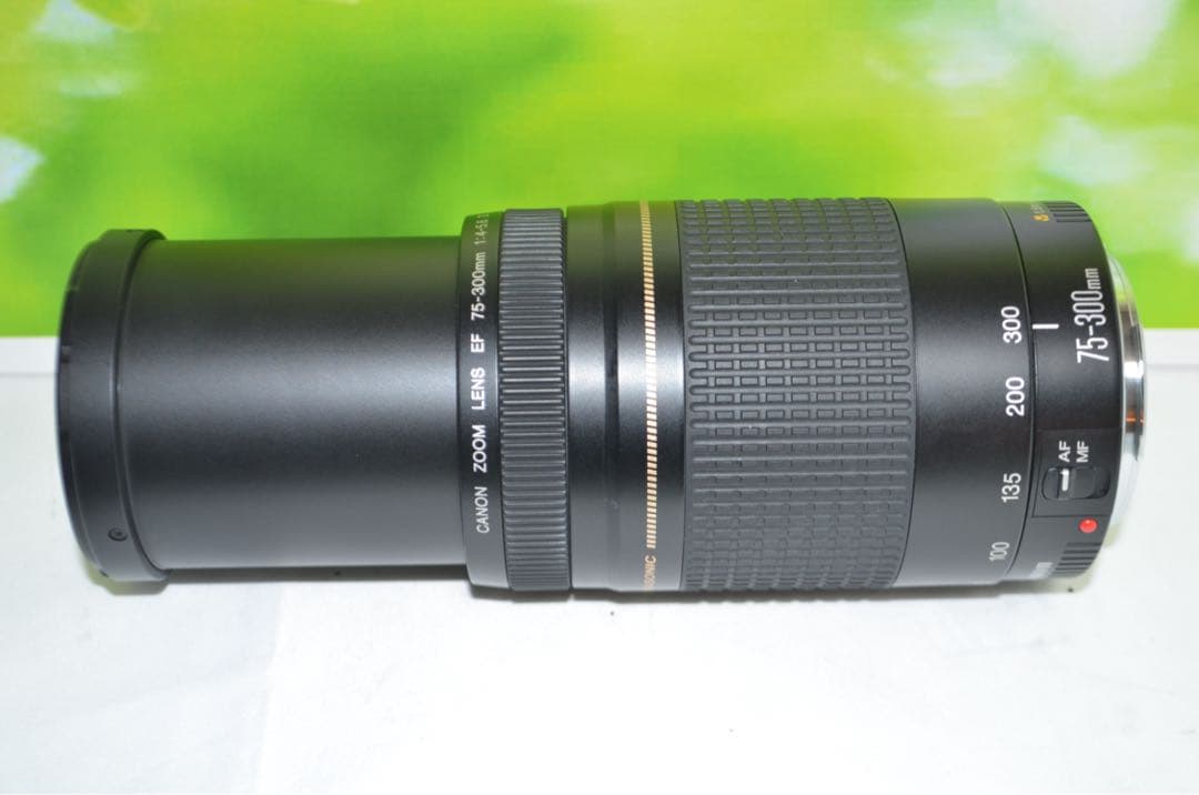★美品級★300mm超望遠レンズ★CANON EF 75-300mm