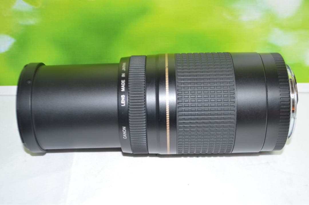 ★美品級★300mm超望遠レンズ★CANON EF 75-300mm