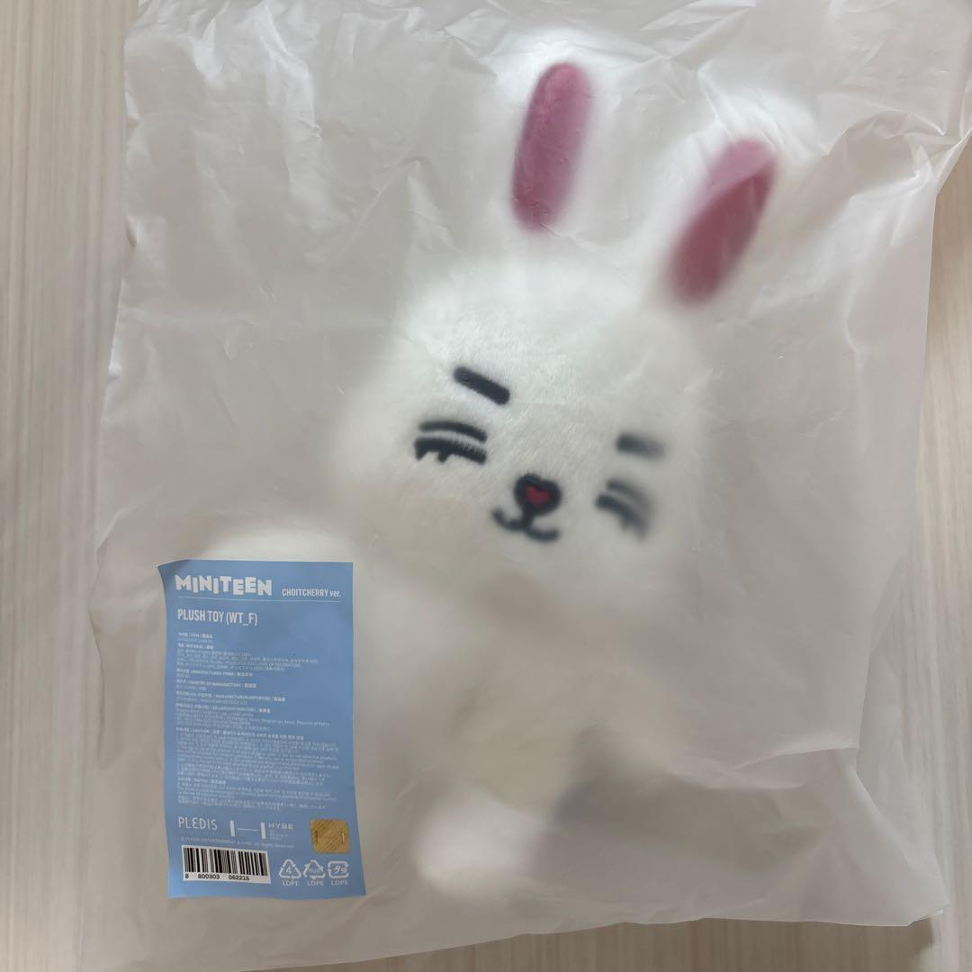 エスクプス ぬいぐるみ ミニティーン セブチ MINITEEN