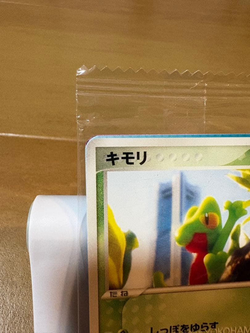 ポケモンカード　キモリ PROMO PCG-Pプロモカード 037/PCG-P
