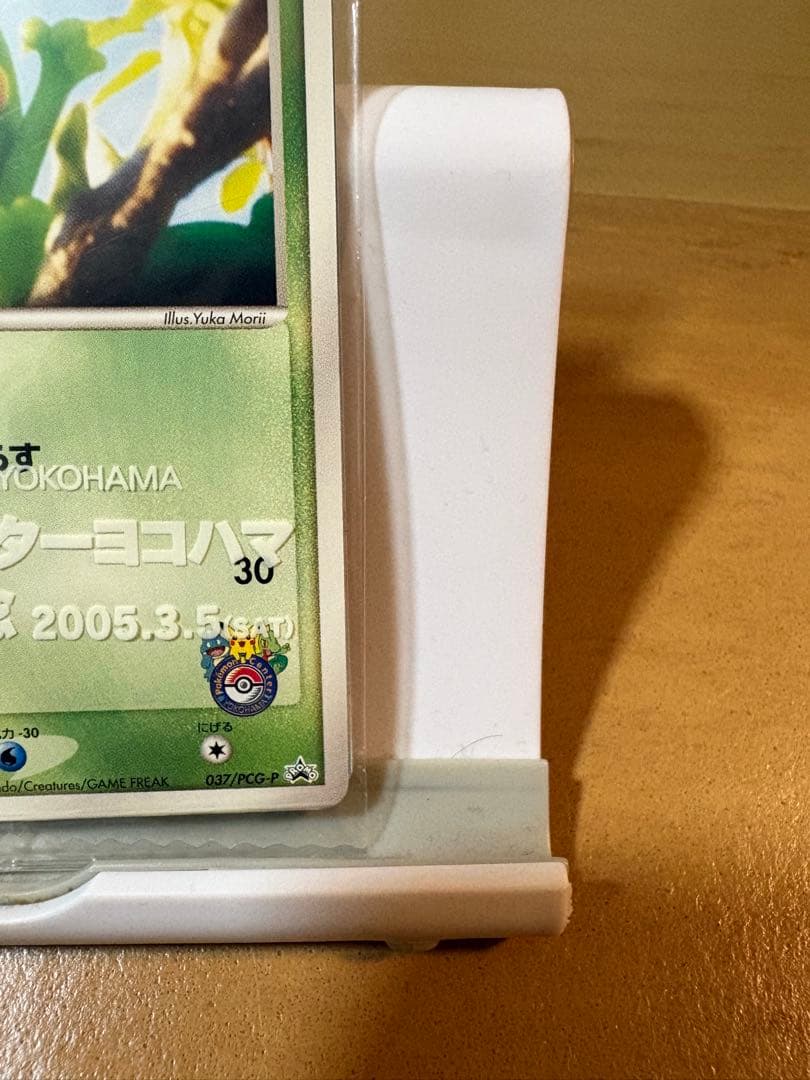 ポケモンカード　キモリ PROMO PCG-Pプロモカード 037/PCG-P