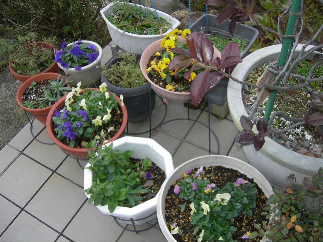 ☆動作OK Nikon coolpix P1 バッテリー&充電器&SDカード付き