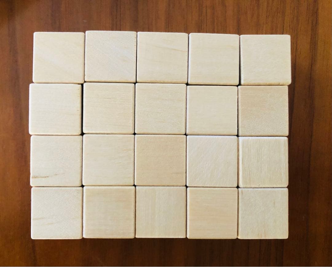 ピグマリオン 教具 ドット棒 ヌマーカステン ウッディブロック 幼児のさんすう