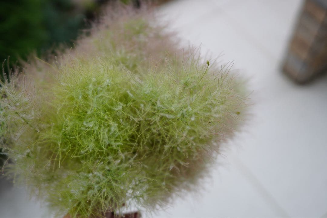 SONY α6400 ミラーレスカメラ