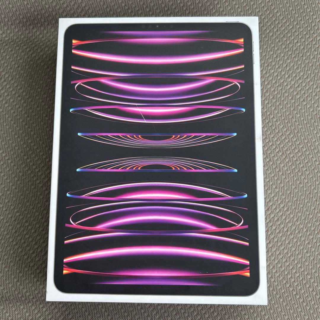 iPad Pro11インチ 第4世代 256GB セルラー スペースグレー 美品