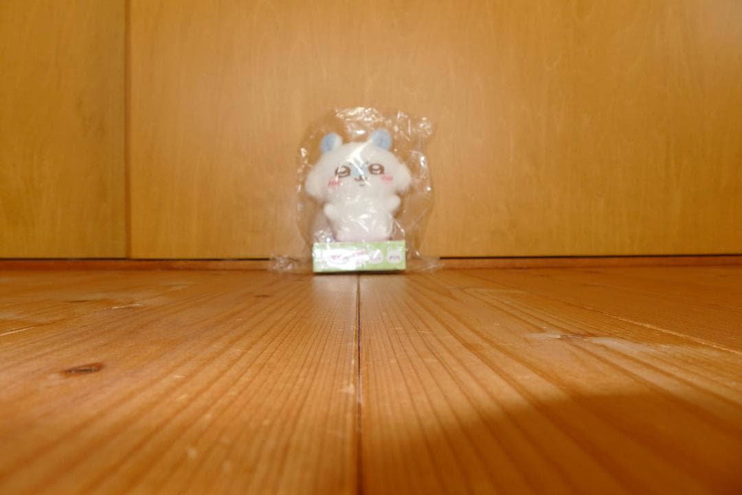 ライカ Leica D-LUX 5