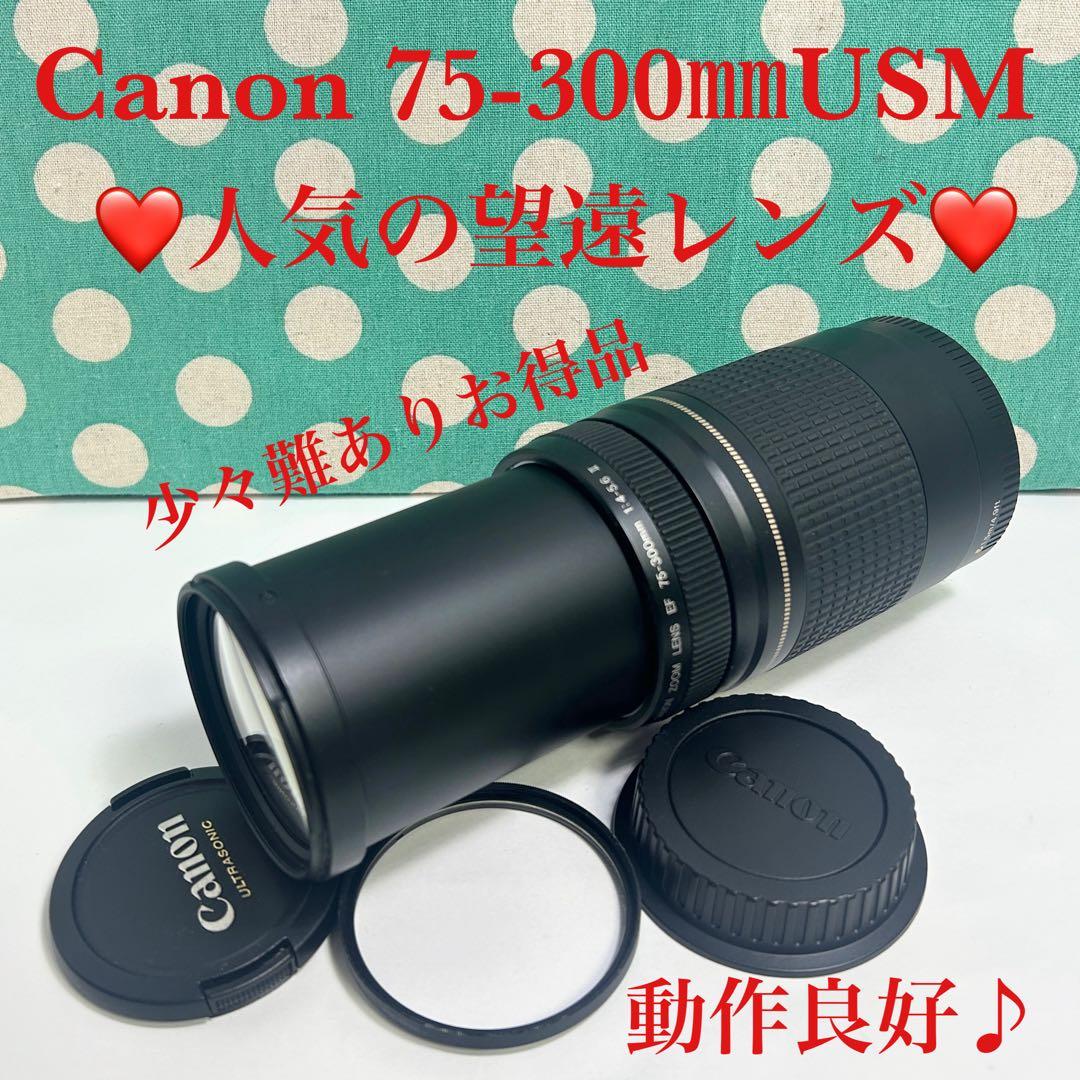 03❤️お得品❤️ ♥️Canon 75-300mm USM☆人気の望遠レンズ♥️運動会
