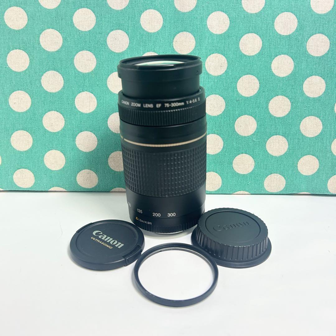 03❤️お得品❤️ ♥️Canon 75-300mm USM☆人気の望遠レンズ♥️運動会