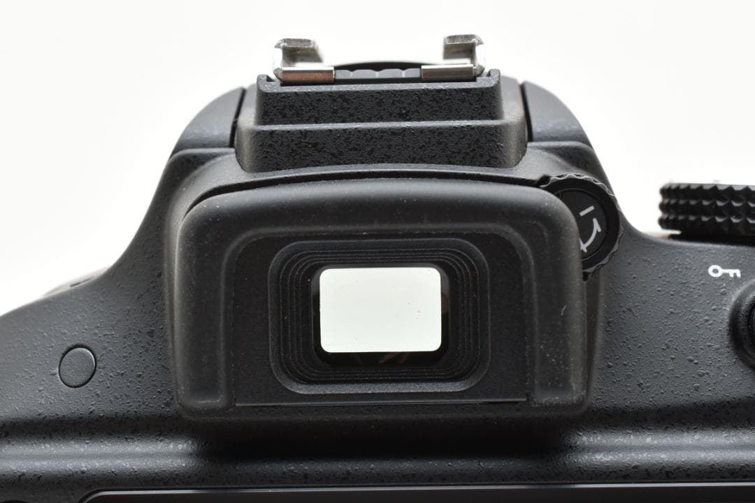 超美品 NIKON ニコン D3300 ショット枚数 196枚 M495