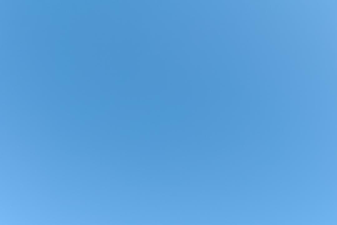 極少ショット数 作例あり ライカ D-LUX 4 Leica 光学極上品