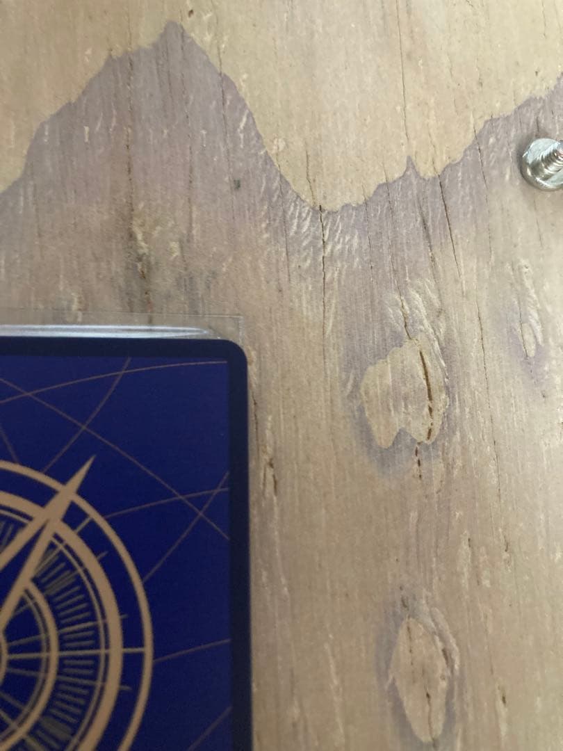 モンキー・D・ルフィ SEC パラレル OP05-119 ケース付き