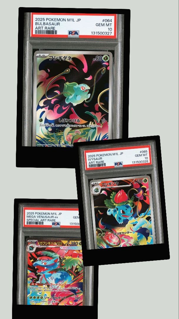 2025 ポケモン フシギダネ　フシギソウ　メガフシギバナex psa10３連番