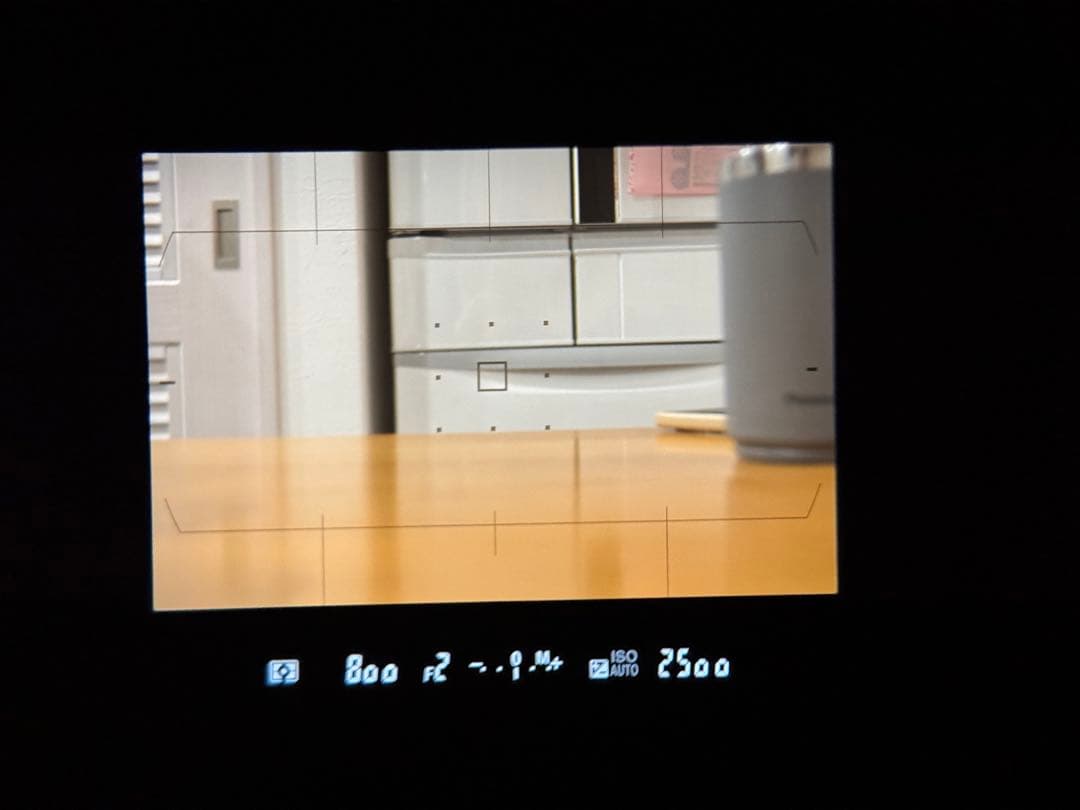 Nikon D500 デジタル一眼レフカメラ