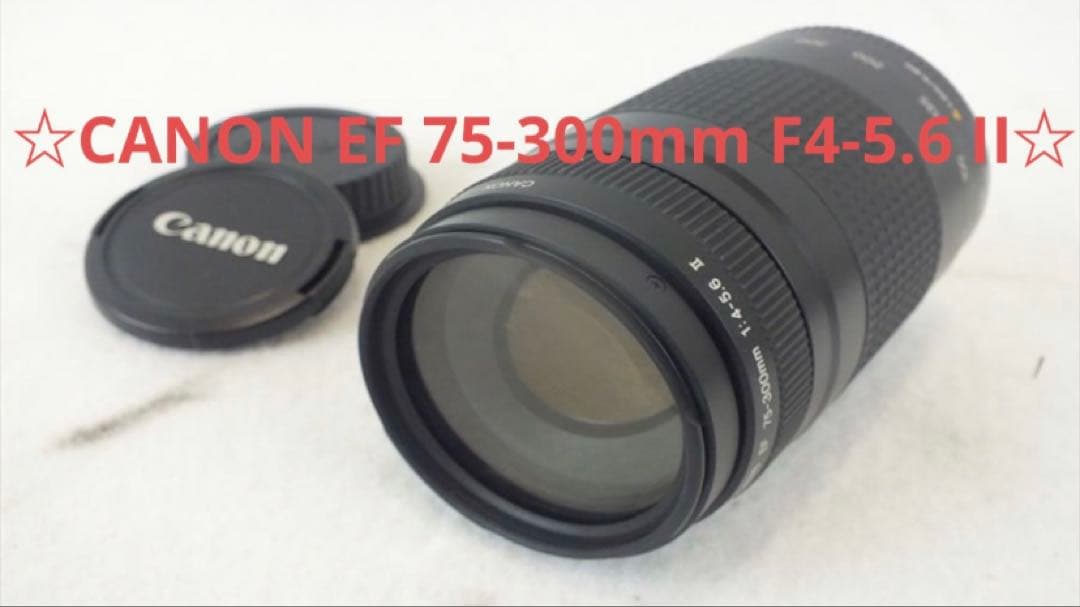 キャノン望遠レンズ　CANON EF 75-300mm F4-5.6 II