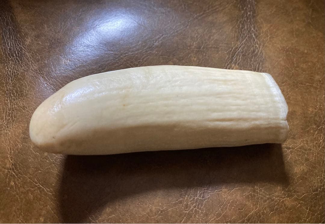 鯨歯 約9.5cm 約86.3g マッコウ鯨牙　抹香鯨