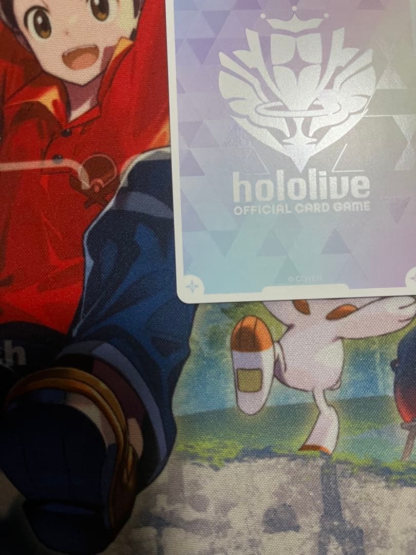 か*な様 ホロカ ロボ子さん OUR