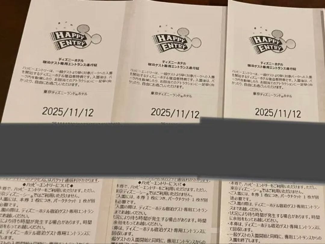 ディズニーランド　ハッピーエントリー