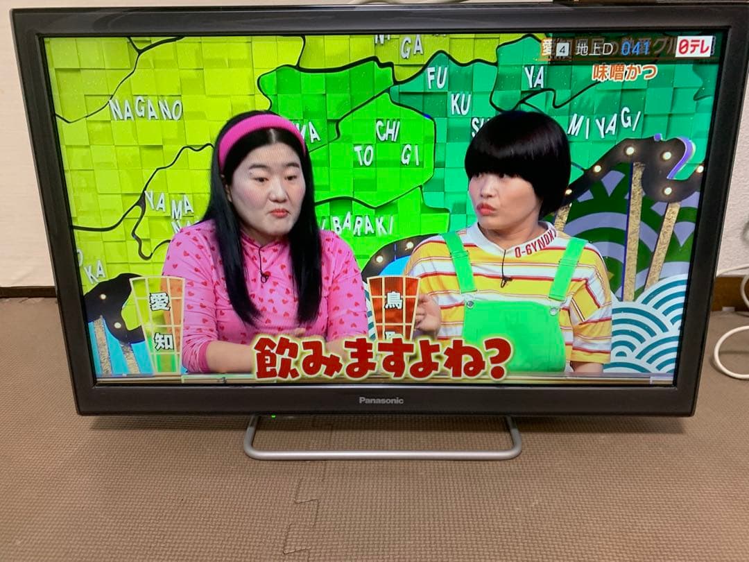 パナソニック　TH-24ES500-S 24型 ⭕️上地、BS/CS、動画可テレビ