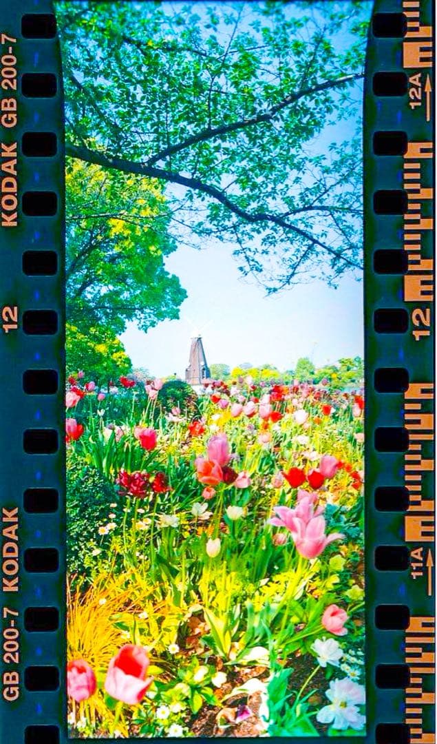 【新品】HORIZON パノラマ フィルム 360度 カメラ 限定 ホライゾン