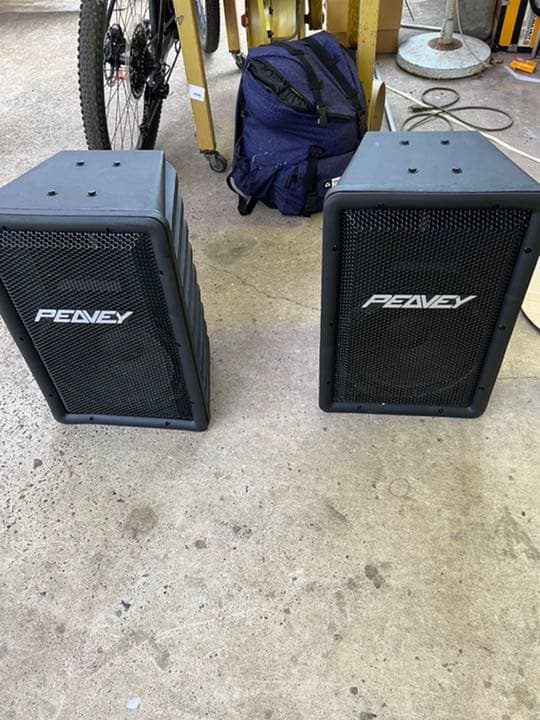 peavey 30cm ペア