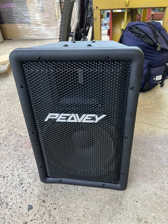 peavey 30cm ペア
