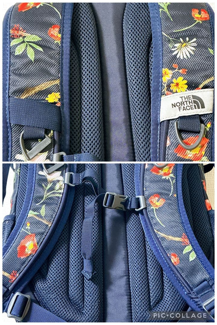 極美品 希少 ノースフェイス シングルショット 花柄 ボタニカル バッグパック