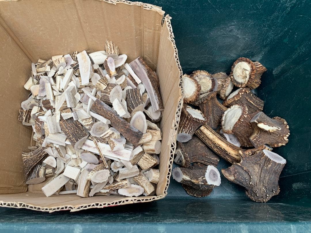 No.2120『鹿角加工材8.7kセット』鹿の角　エゾ鹿　鹿角　蝦夷鹿