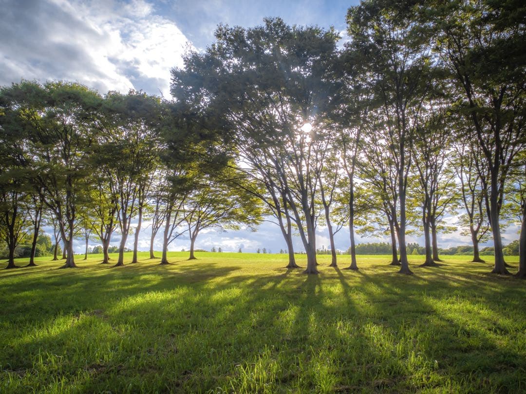 【S/H様】FUJIFILM X10 デジタルカメラ 【良品・付属品多数】