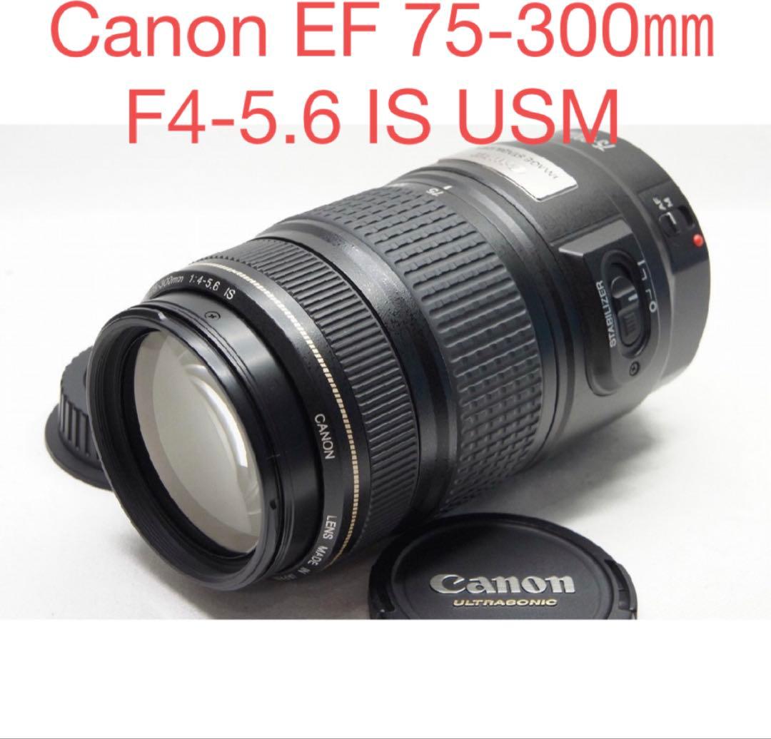 キャノン　手ぶれ補正レンズ/Canon EF 75-300㎜ IS