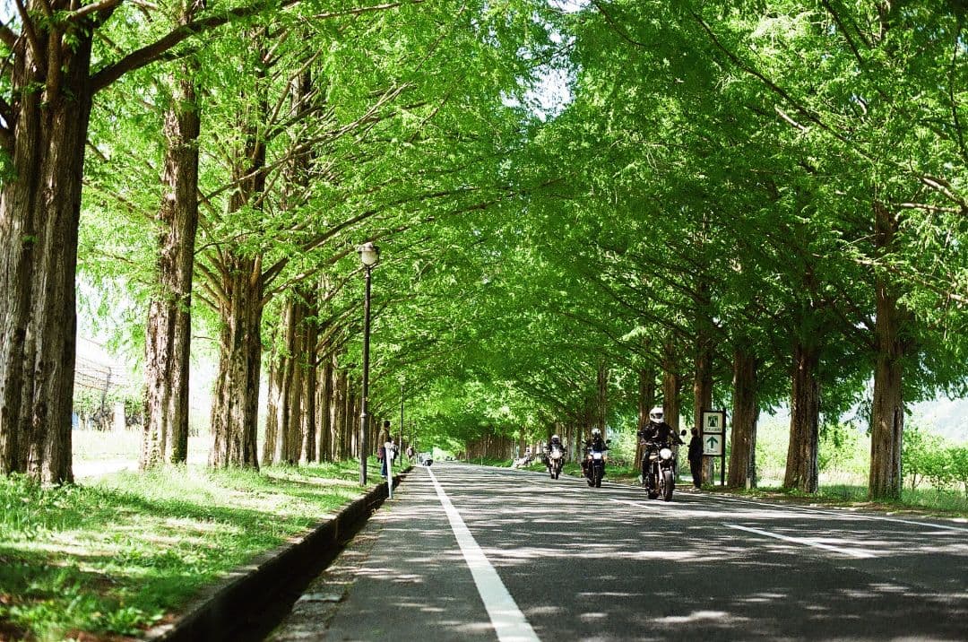 Canon FTQL フィルムカメラ 一眼レフカメラ