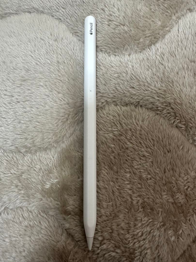 APPLE i Pad pro （第3世代）（11インチ）128GB