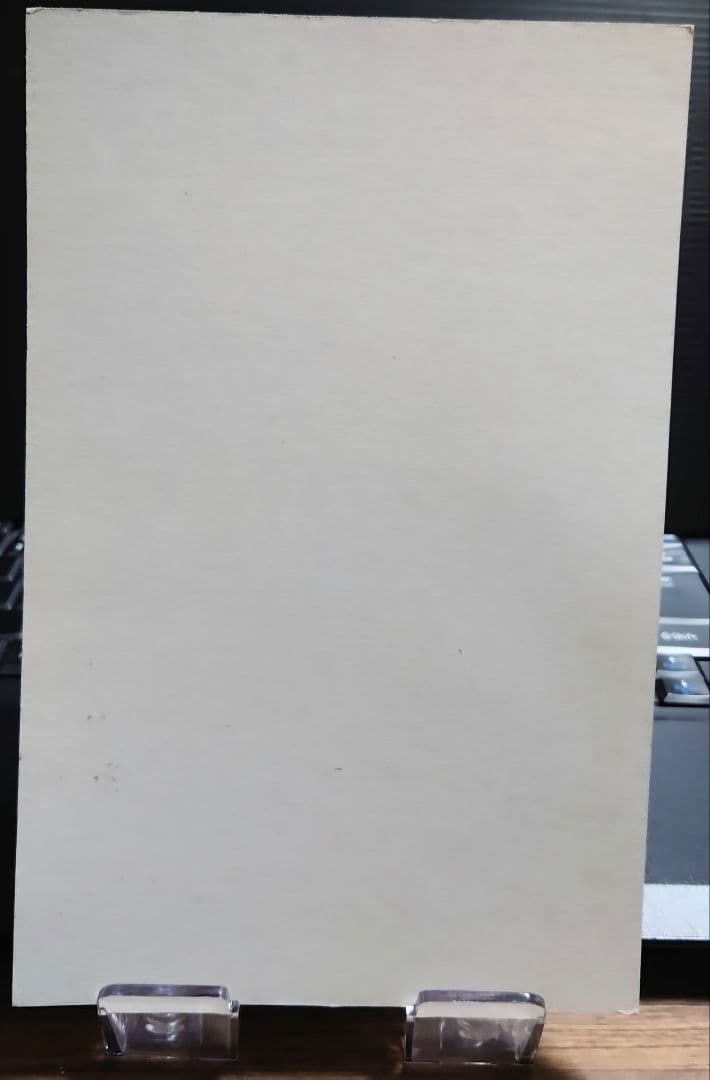 バンダイカードダス ワンピース 4thStage 恐怖!!アーロンパーク編/台紙